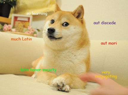 aut-discede-much-latin-aut-mori-very-conjugating-so-learning-latin-honor-society