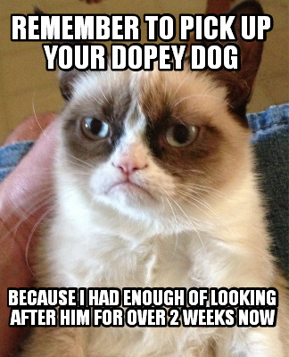 remember-to-pick-up-your-dopey-dog-because-i-had-enough-of-looking-after-him-for