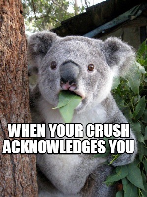 when-your-crush-acknowledges-you