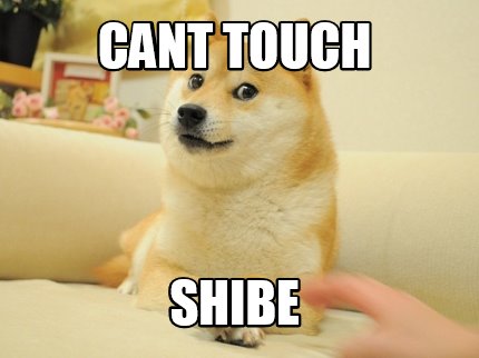 cant-touch-shibe