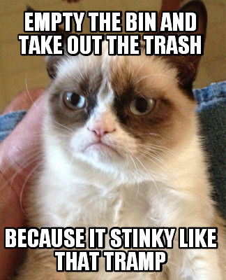 empty-the-bin-and-take-out-the-trash-because-it-stinky-like-that-tramp