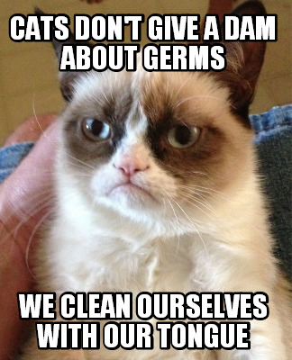 cats-dont-give-a-dam-about-germs-we-clean-ourselves-with-our-tongue