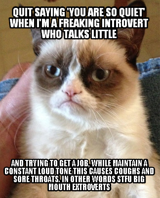quit-saying-you-are-so-quiet-when-im-a-freaking-introvert-who-talks-little-and-t