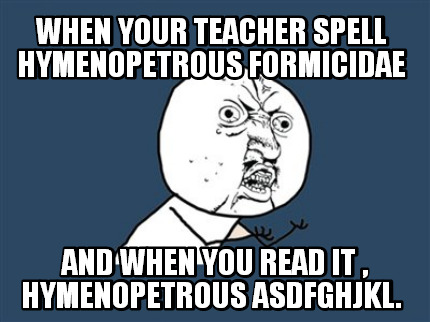 when-your-teacher-spell-hymenopetrous-formicidae-and-when-you-read-it-hymenopetr
