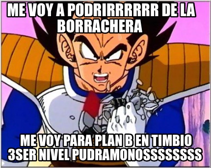 me-voy-a-podrirrrrrr-de-la-borrachera-me-voy-para-plan-b-en-timbio-3ser-nivel-pu