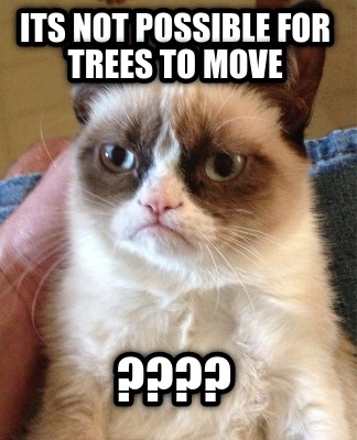 its-not-possible-for-trees-to-move-4