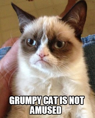 grumpy-cat-is-not-amused9