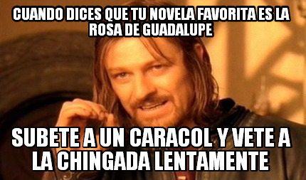cuando-dices-que-tu-novela-favorita-es-la-rosa-de-guadalupe-subete-a-un-caracol-