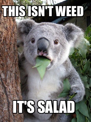 this-isnt-weed-its-salad