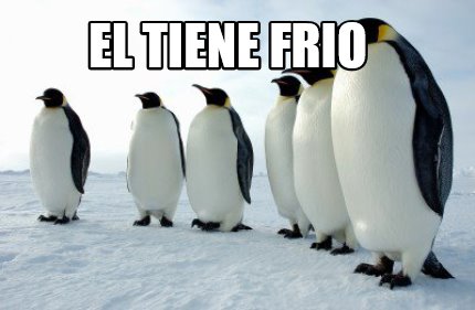 el-tiene-frio