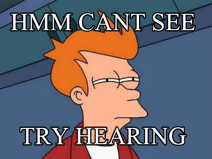 hmm-cant-see-try-hearing