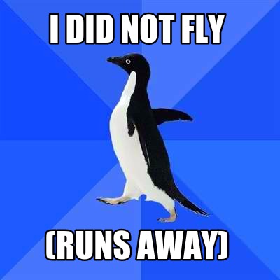 i-did-not-fly-runs-away