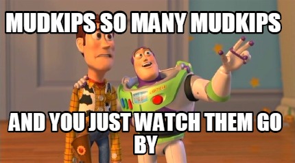 mudkips-so-many-mudkips-and-you-just-watch-them-go-by