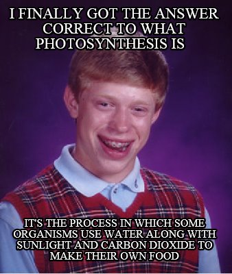 i-finally-got-the-answer-correct-to-what-photosynthesis-is-its-the-process-in-wh