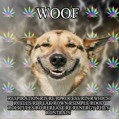 woof-respiration-ris-re-rprocess-rin-rwhich-rcells-rbreak-rown-rsimple-rood-roli