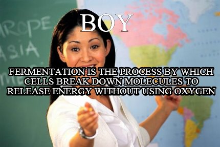 boy-fermentation-is-the-process-by-which-cells-break-down-molecules-to-release-e