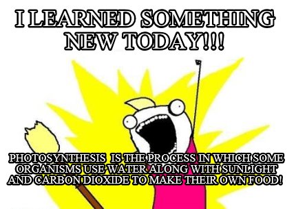 i-learned-something-new-today-photosynthesis-is-the-process-in-which-some-organi