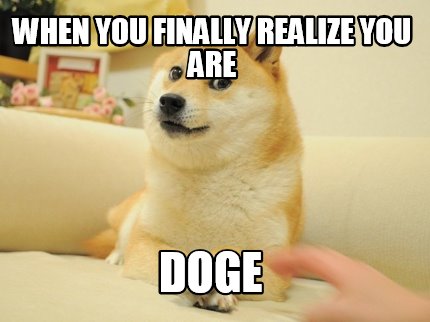 when-you-finally-realize-you-are-doge
