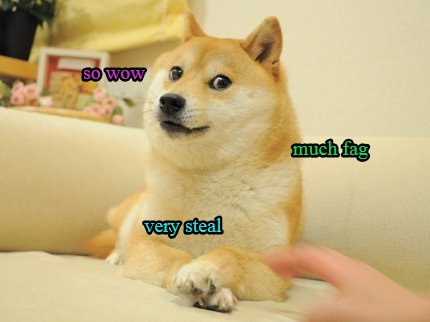 so-wow-much-fag-very-steal