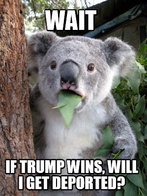 wait-if-trump-wins-will-i-get-deported