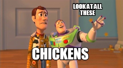 look-at-all-these-chickens