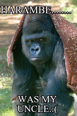 harambe........-was-my-uncle