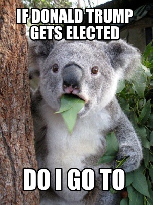 if-donald-trump-gets-elected-do-i-go-to