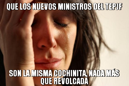 que-los-nuevos-ministros-del-tepjf-son-la-misma-cochinita-nada-ms-que-revolcada