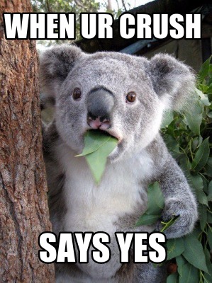 when-ur-crush-says-yes