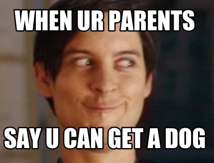 when-ur-parents-say-u-can-get-a-dog