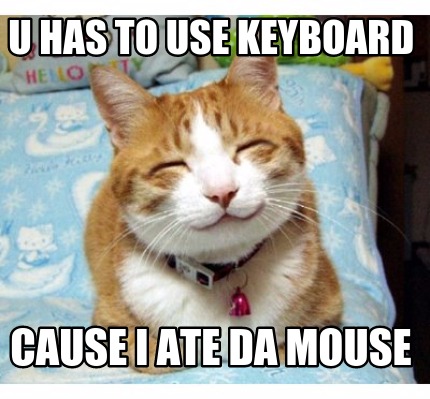u-has-to-use-keyboard-cause-i-ate-da-mouse