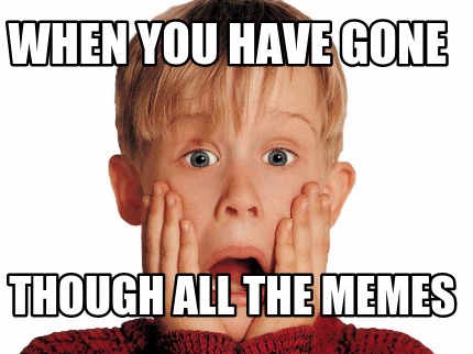 when-you-have-gone-though-all-the-memes