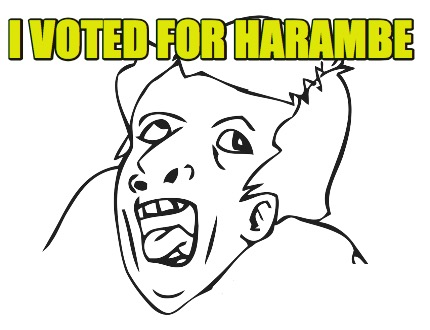 i-voted-for-harambe