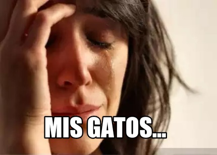 mis-gatos