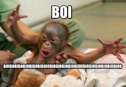 boi-boibobibobiobibobiboiobiobiobiobiobiiiiibiobiobiobiobiobiob