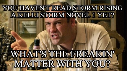 you-havent-read-storm-rising-a-kelli-storm-novel-1-yet-whats-the-freakin-matter-