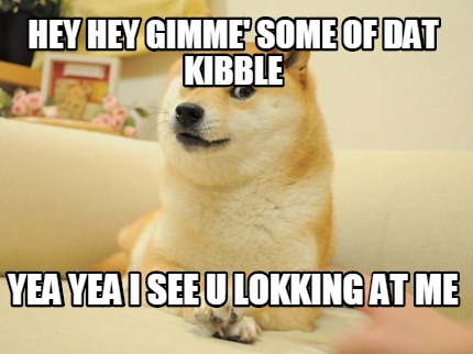hey-hey-gimme-some-of-dat-kibble-yea-yea-i-see-u-lokking-at-me
