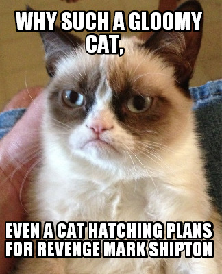 why-such-a-gloomy-cat-even-a-cat-hatching-plans-for-revenge-mark-shipton