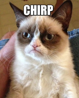 chirp
