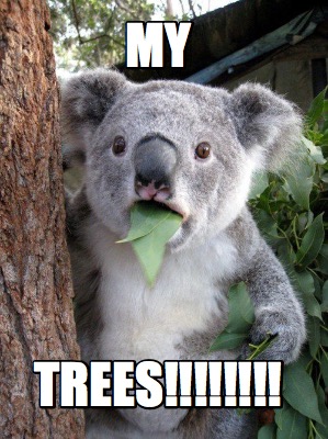 my-trees