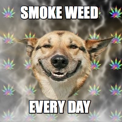 smoke-weed-every-day9