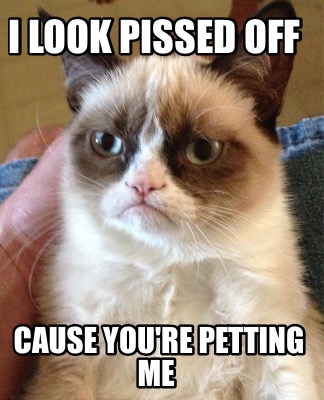 i-look-pissed-off-cause-youre-petting-me