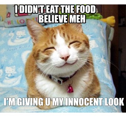 i-didnt-eat-the-food-believe-meh-im-giving-u-my-innocent-look