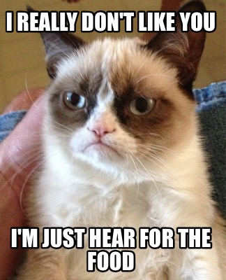 i-really-dont-like-you-im-just-hear-for-the-food
