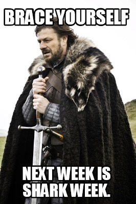 brace-yourself-next-week-is-shark-week