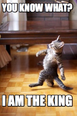 you-know-what-i-am-the-king
