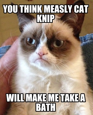 you-think-measly-cat-knip-will-make-me-take-a-bath