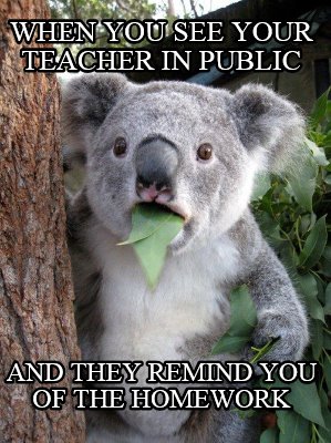 when-you-see-your-teacher-in-public-and-they-remind-you-of-the-homework