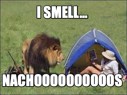 i-smell...-nachoooooooooos