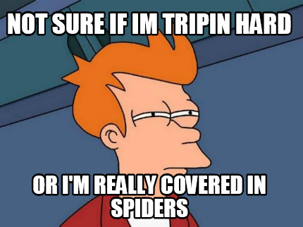 not-sure-if-im-tripin-hard-or-im-really-covered-in-spiders